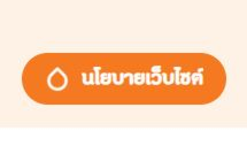 นโยบายเว็บไซต์